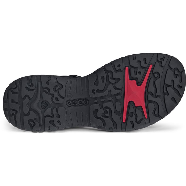 ecco offroad roam w