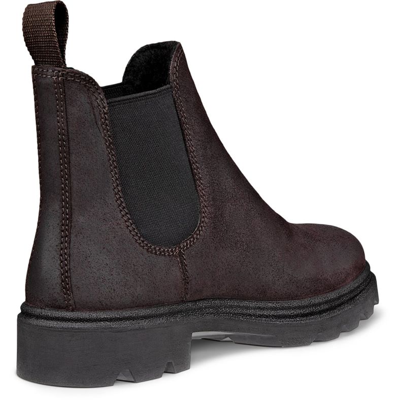 ecco grainer w