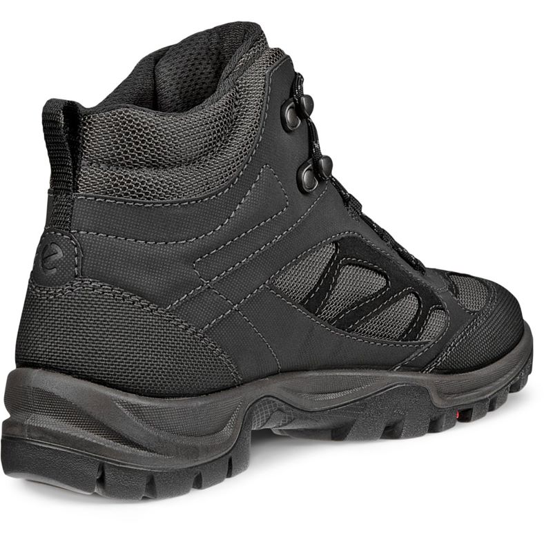 ecco xpedition iii w