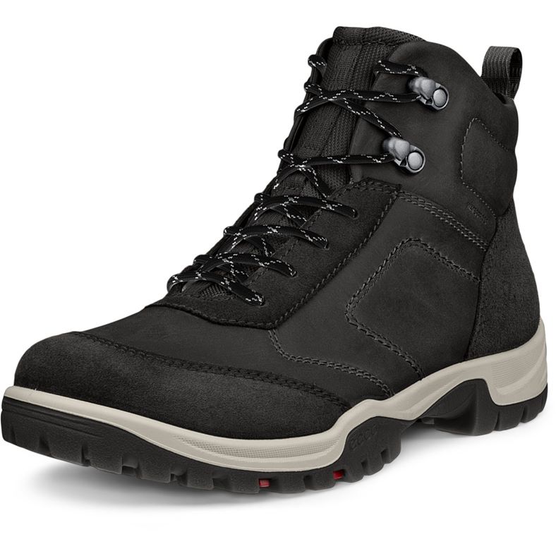 ecco xpedition iii w