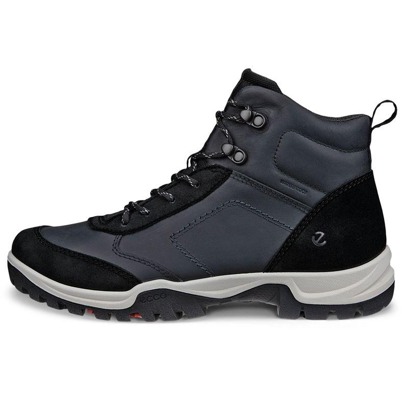 ecco xpedition iii w