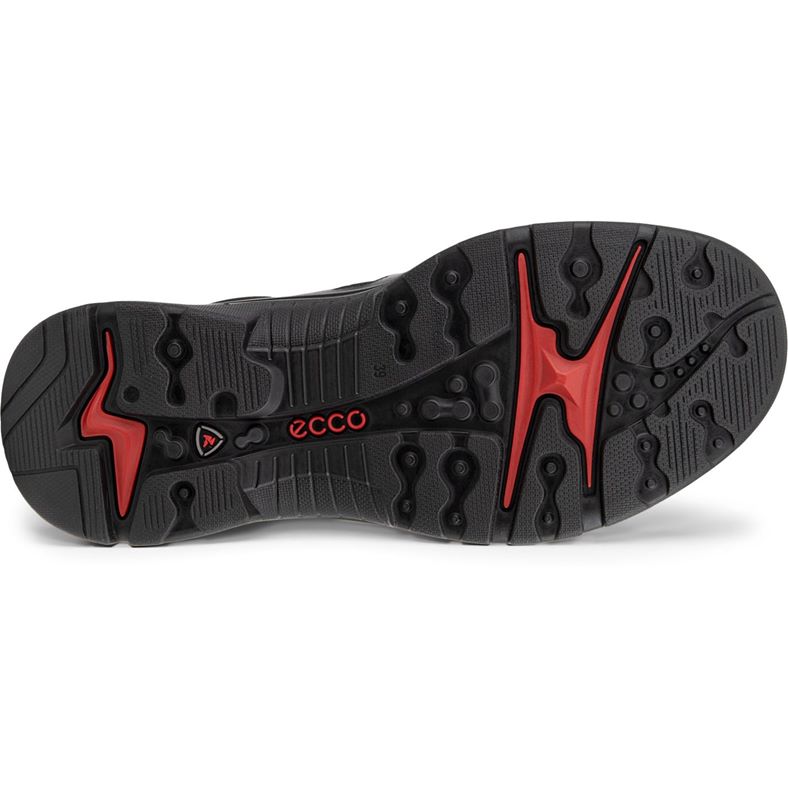 ecco offroad w
