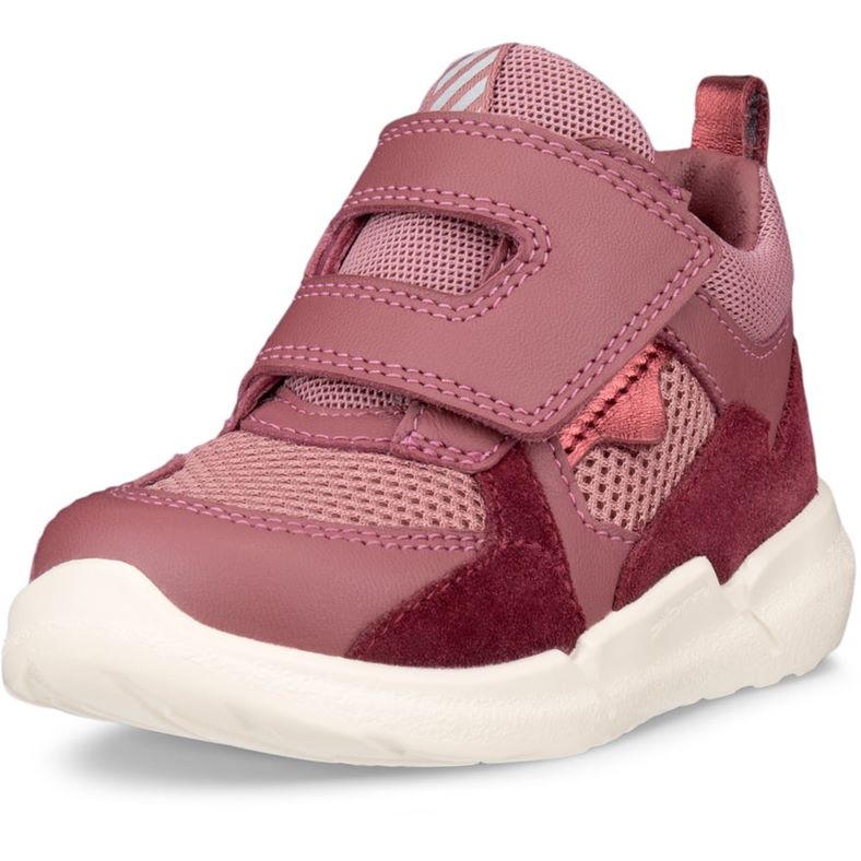 ecco biom 2.2 infant