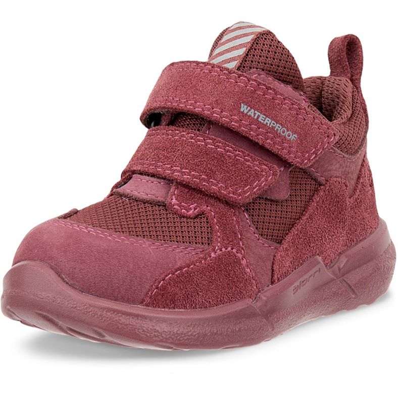 ecco biom 2.2 infant