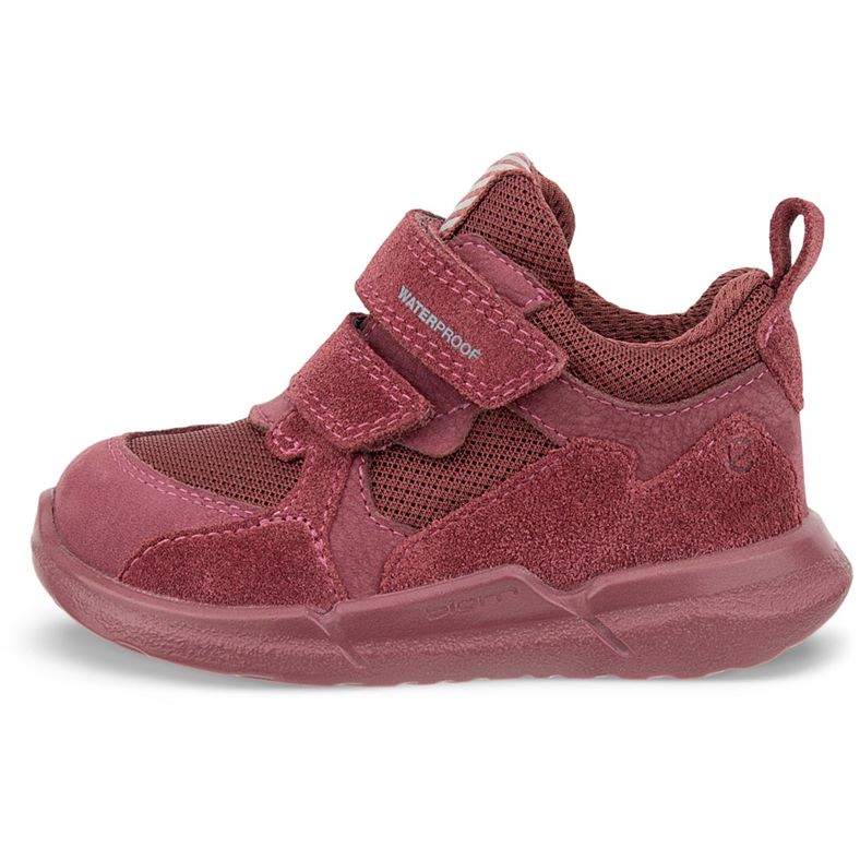 ecco biom 2.2 infant