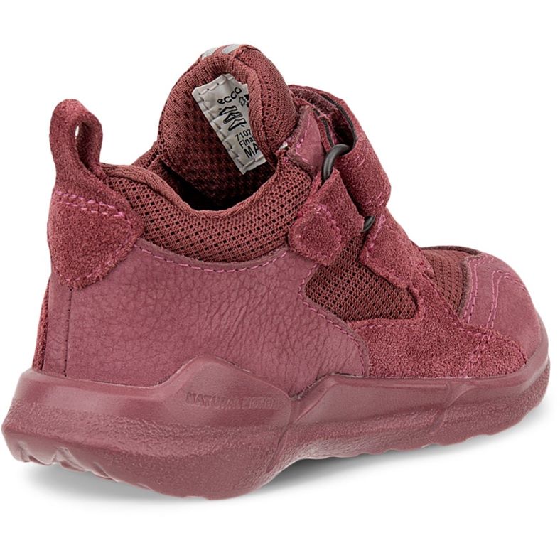 ecco biom 2.2 infant