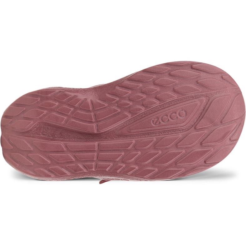 ecco biom 2.2 infant