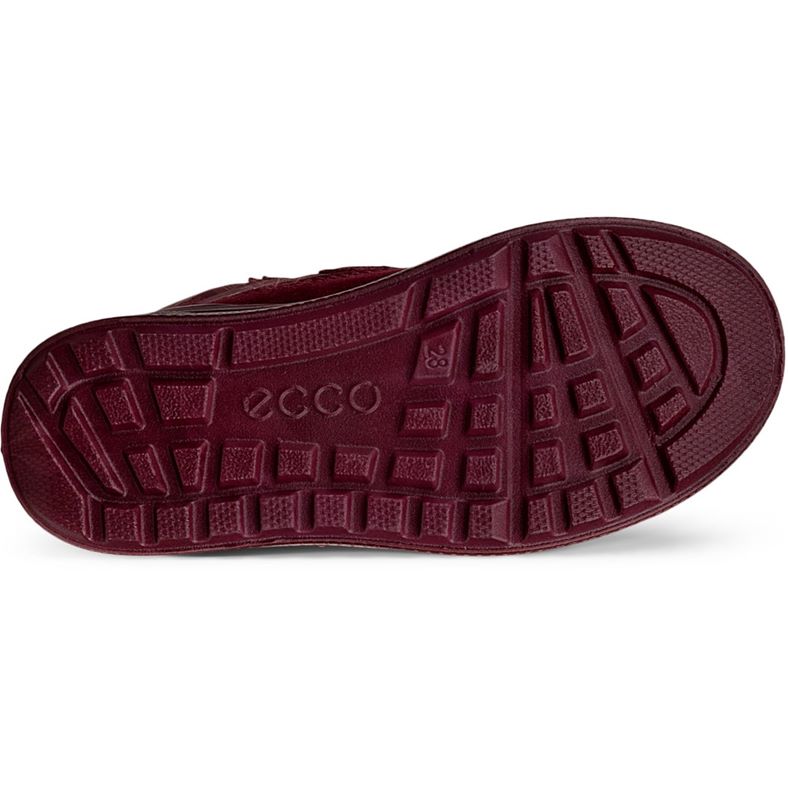 ecco urban snowboardÅkare