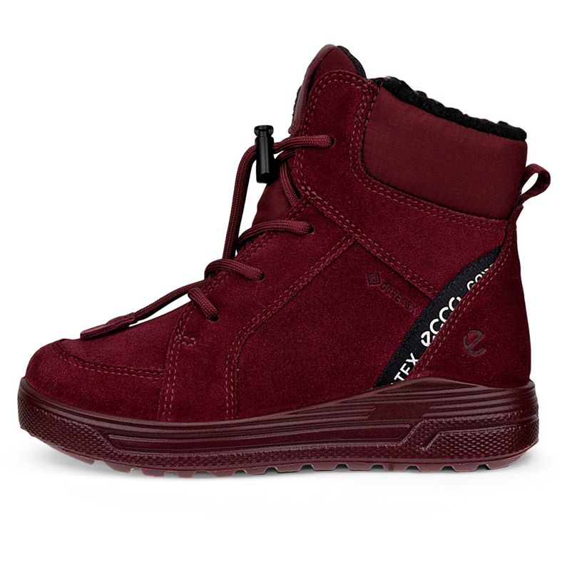 ecco urban snowboardÅkare