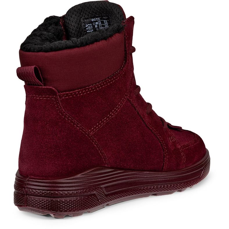 ecco urban snowboardÅkare