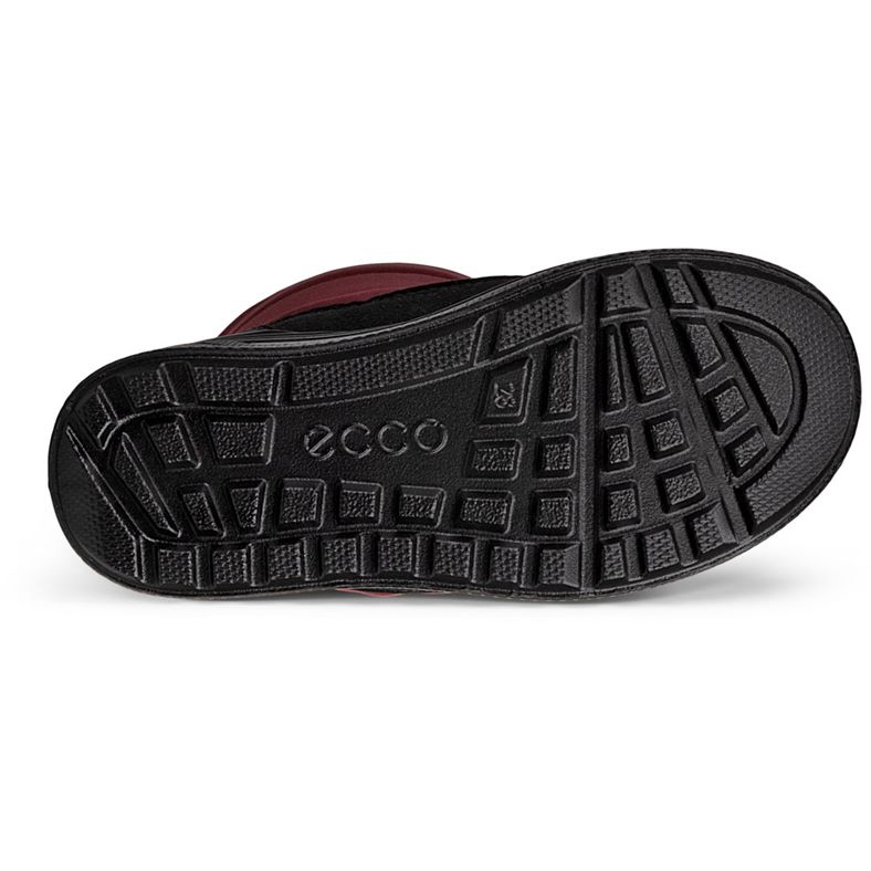 ecco urban snowboardÅkare