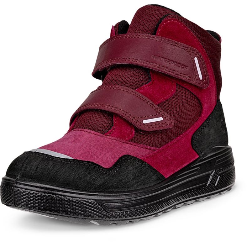ecco urban snowboardÅkare