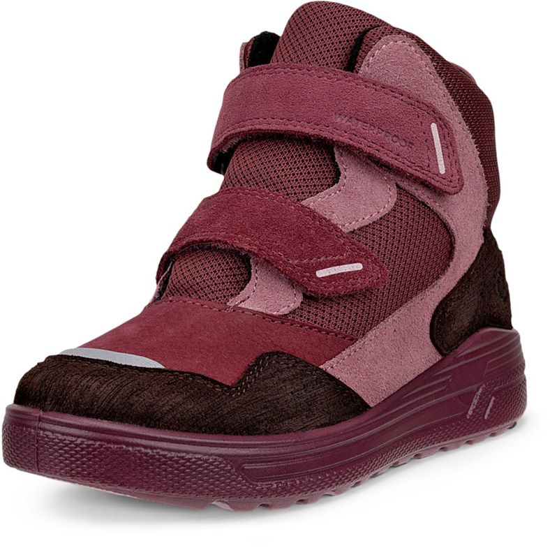 ecco urban snowboardÅkare