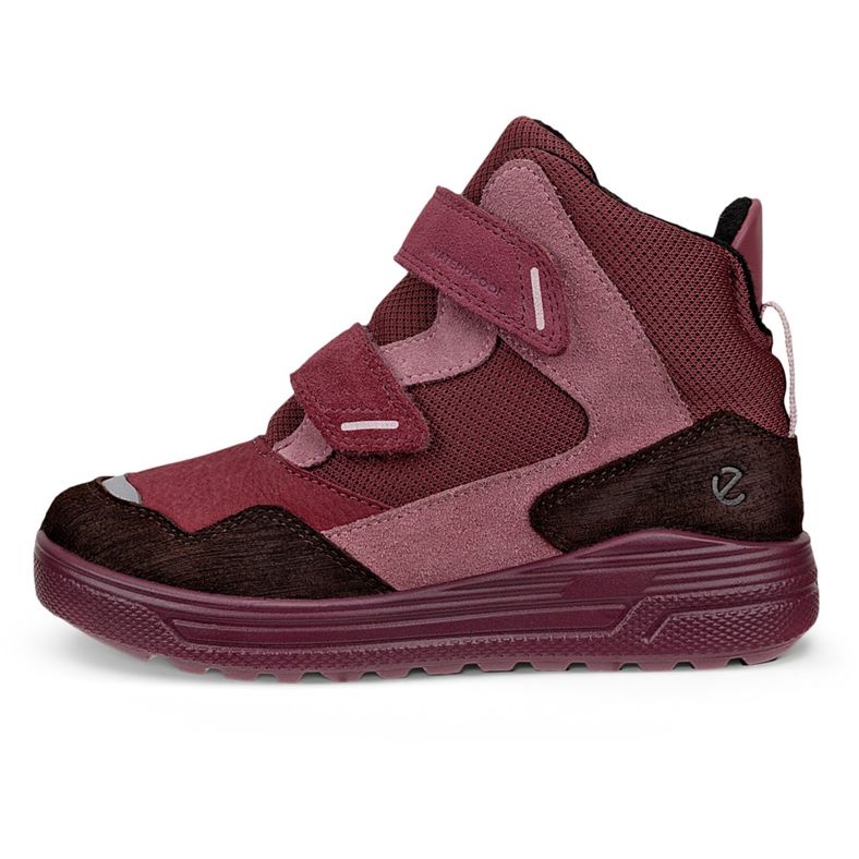 ecco urban snowboardÅkare