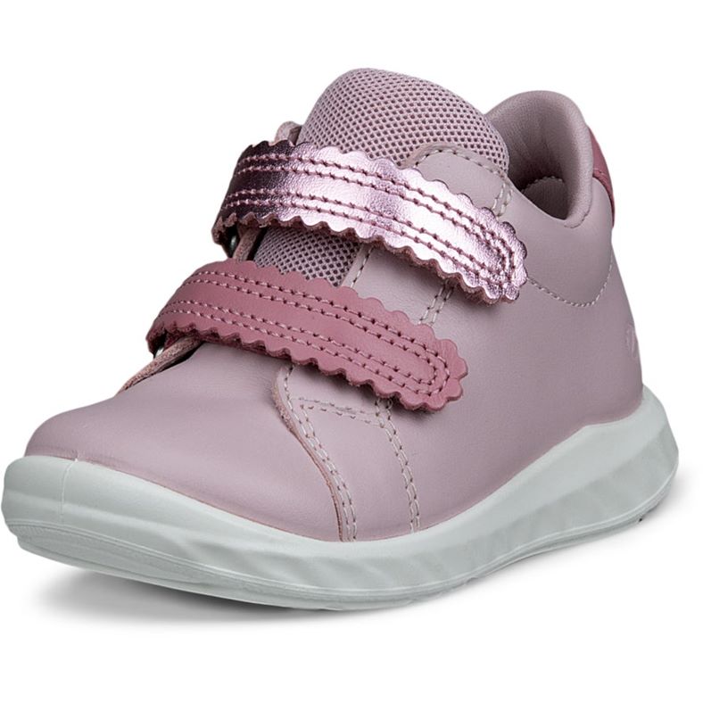 ecco sp.1 lite barn