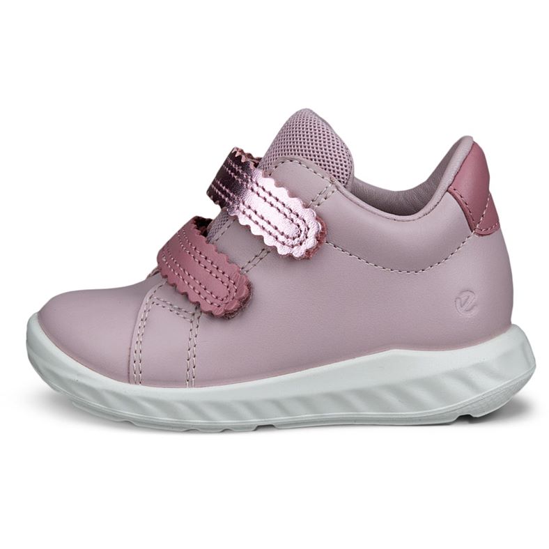 ecco sp.1 lite barn