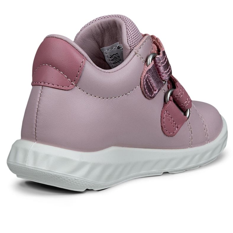 ecco sp.1 lite barn