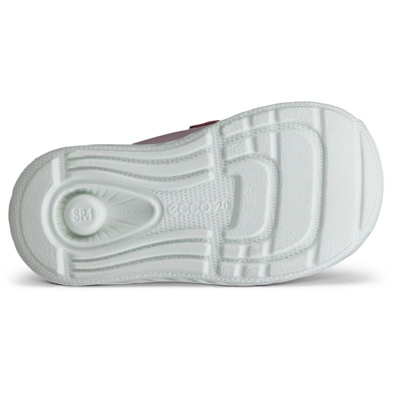 ecco sp.1 lite barn