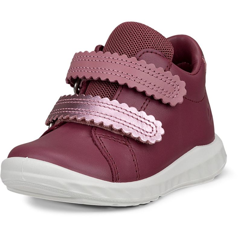 ecco sp.1 lite barn