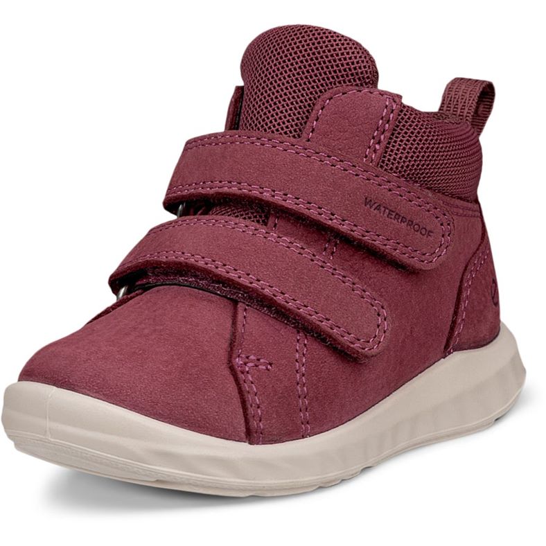 ecco sp.1 lite barn