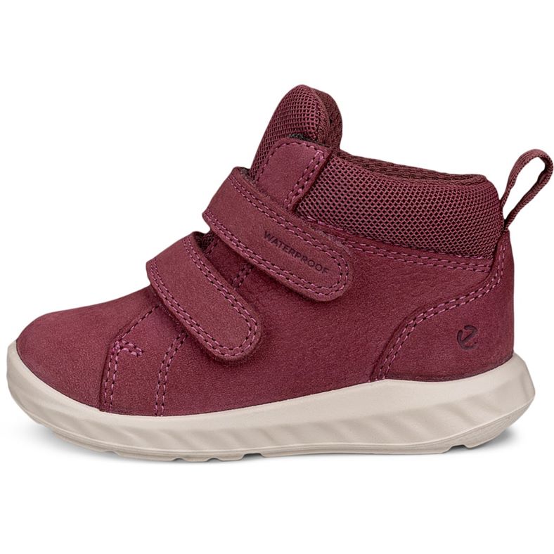 ecco sp.1 lite barn