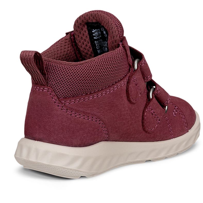 ecco sp.1 lite barn