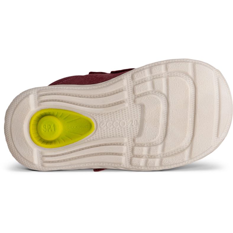 ecco sp.1 lite barn