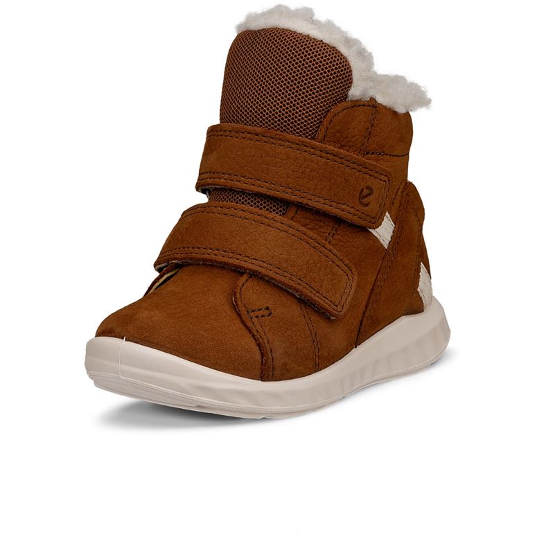 ecco sp.1 lite barn