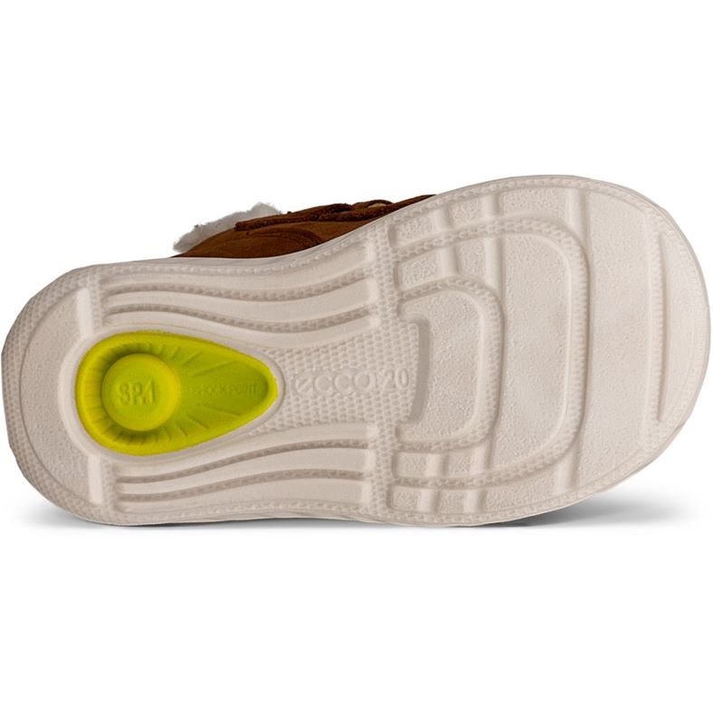 ecco sp.1 lite barn