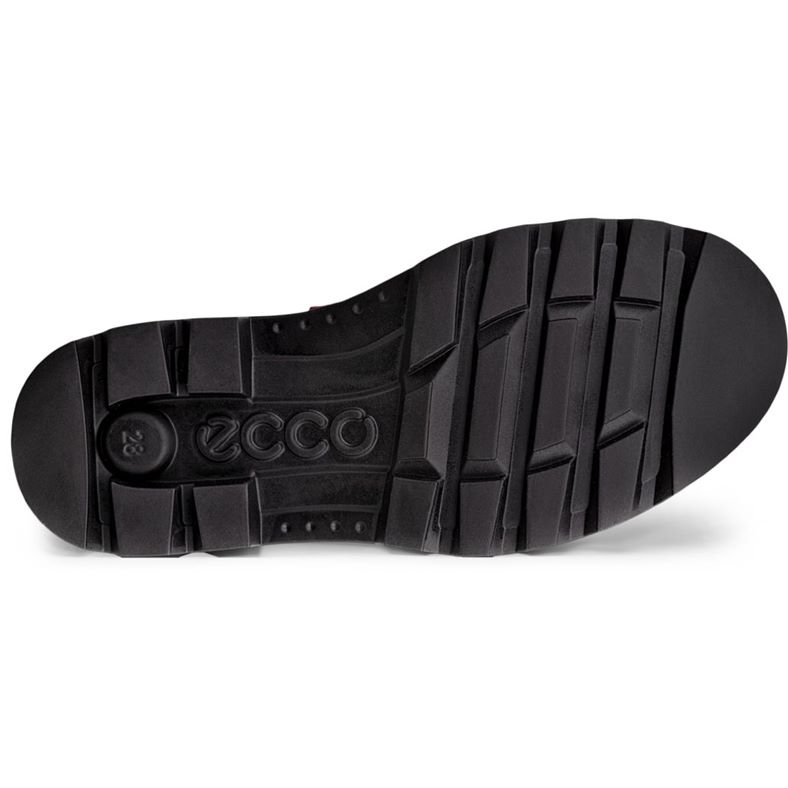 ecco grainer k
