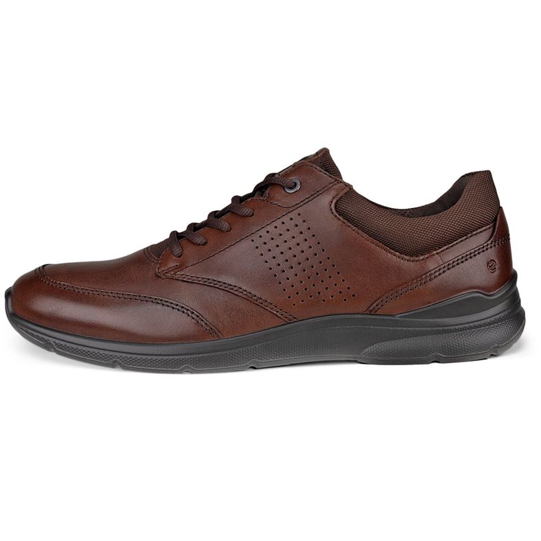 ecco irving