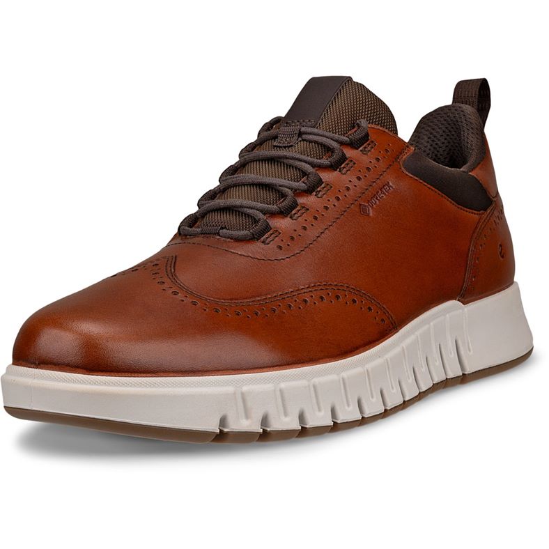 ecco gruuv studio m