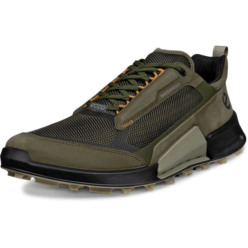 ecco biom 2.1 x mountain m