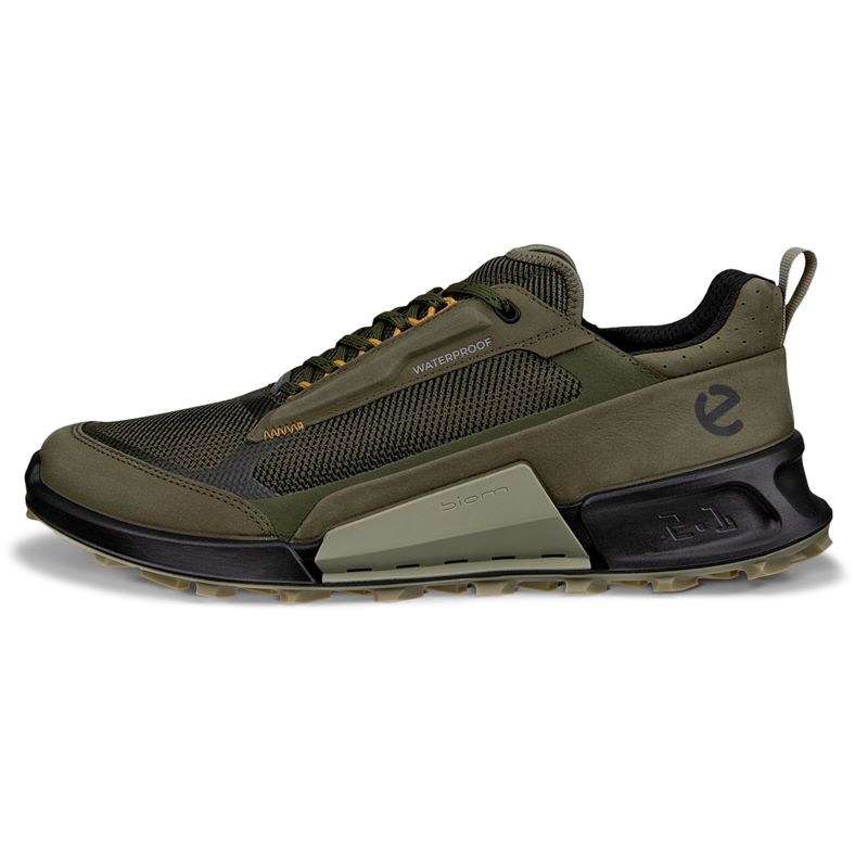 ecco biom 2.1 x mountain m