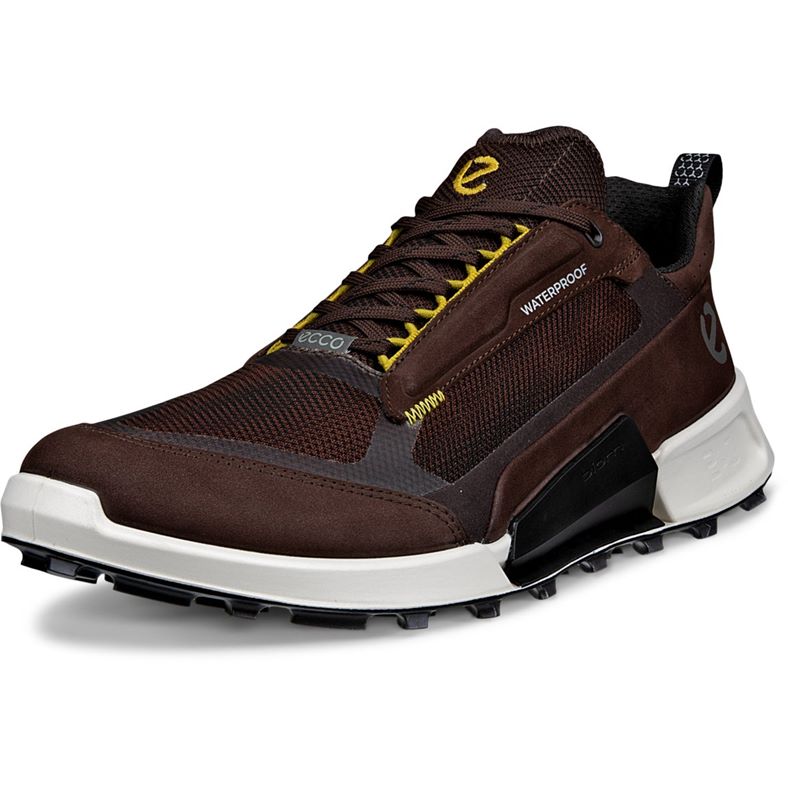 ecco biom 2.1 x mountain m