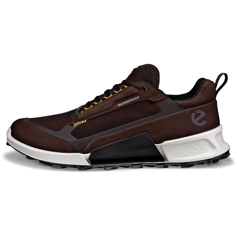 ecco biom 2.1 x mountain m