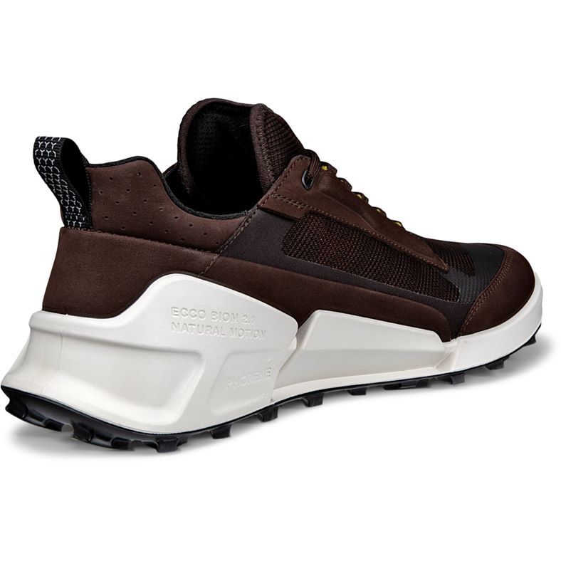 ecco biom 2.1 x mountain m