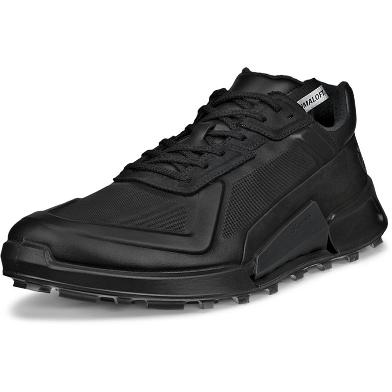ecco biom 2.1 x mountain m