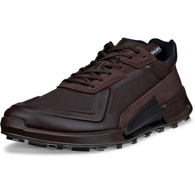 ecco biom 2.1 x mountain m