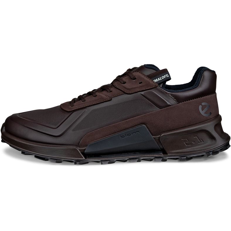 ecco biom 2.1 x mountain m