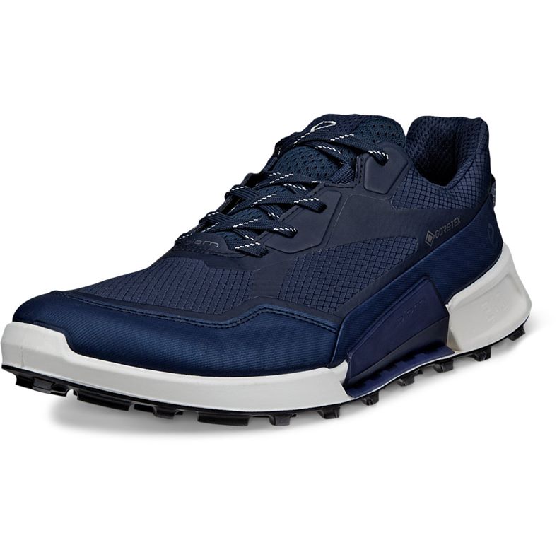ecco biom 2.1 x mountain m