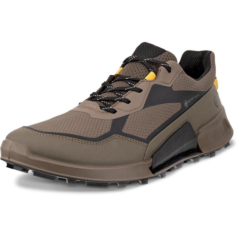 ecco biom 2.1 x mountain m