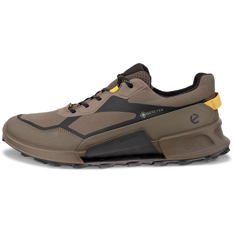ecco biom 2.1 x mountain m