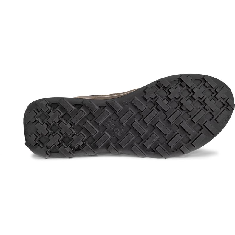 ecco biom 2.1 x mountain m