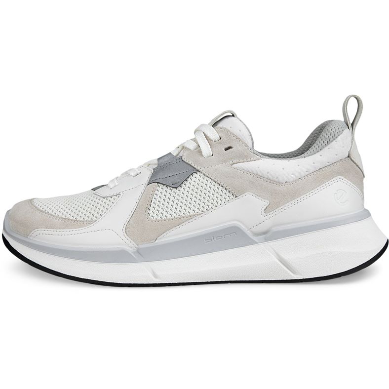 ecco biom 2.2 m