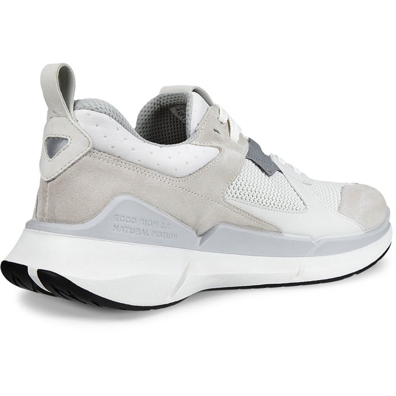 ecco biom 2.2 m
