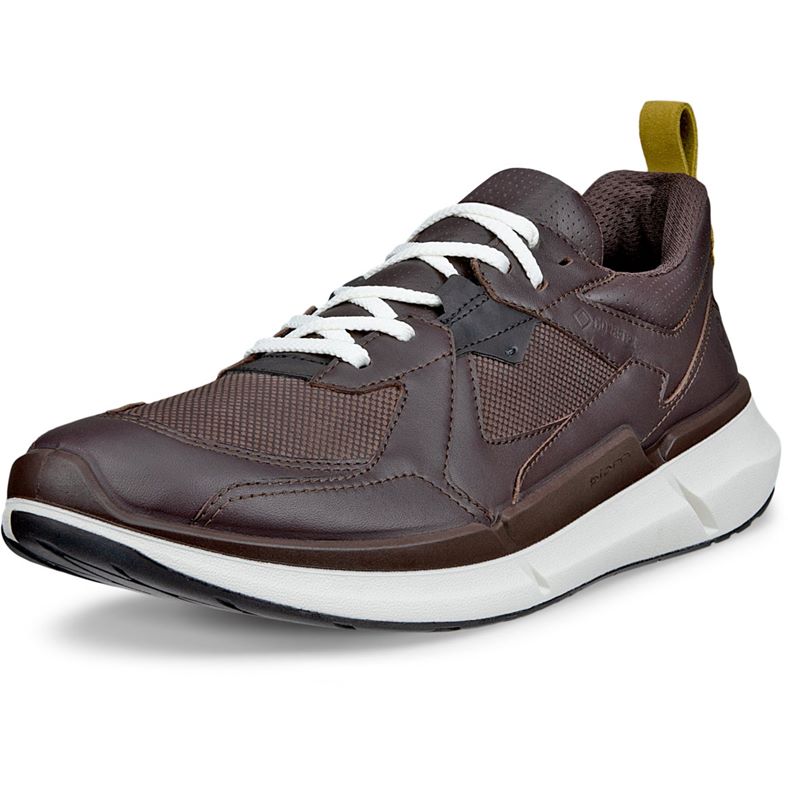 ecco biom 2.2 m
