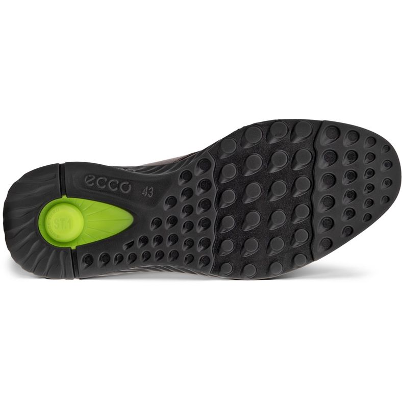 ecco st.1 hybrid