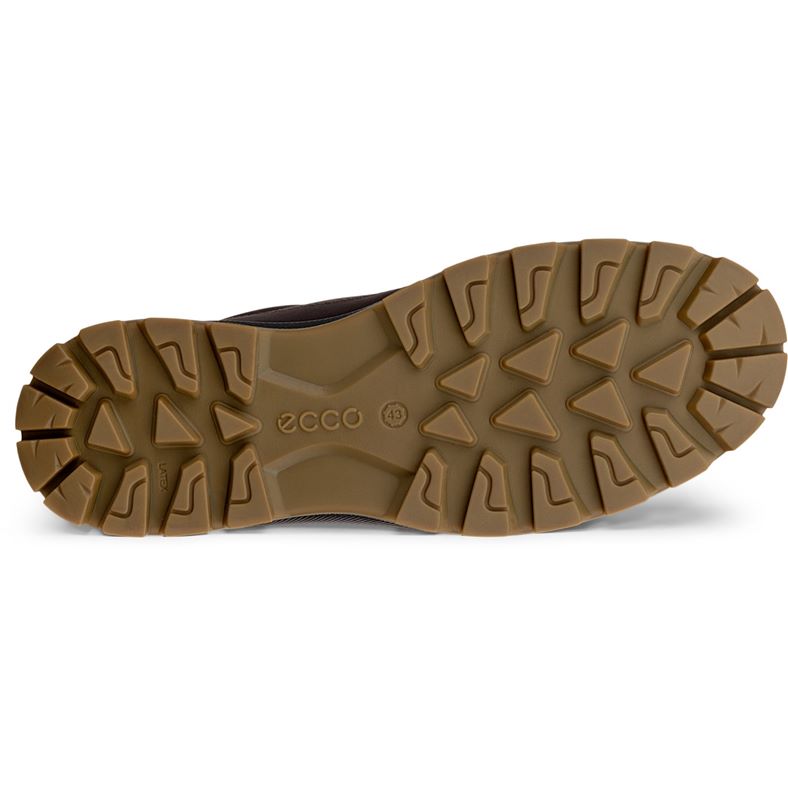 ecco rugged track
