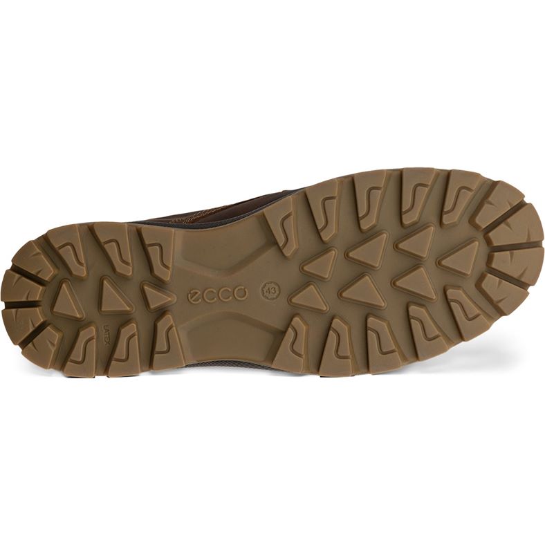 ecco rugged track
